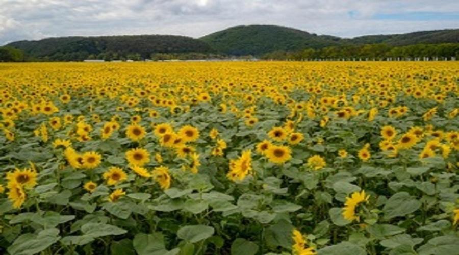 Abashiri Kanko Hotel Dış mekan fotoğraf