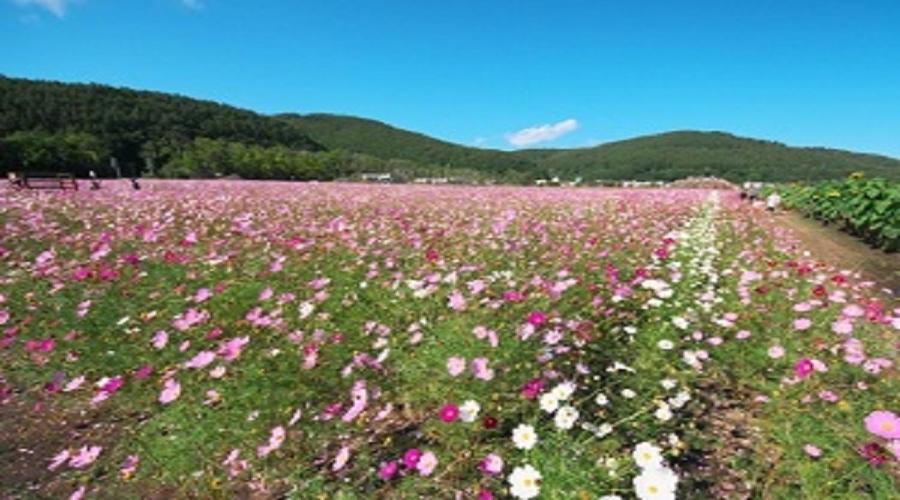 Abashiri Kanko Hotel Dış mekan fotoğraf
